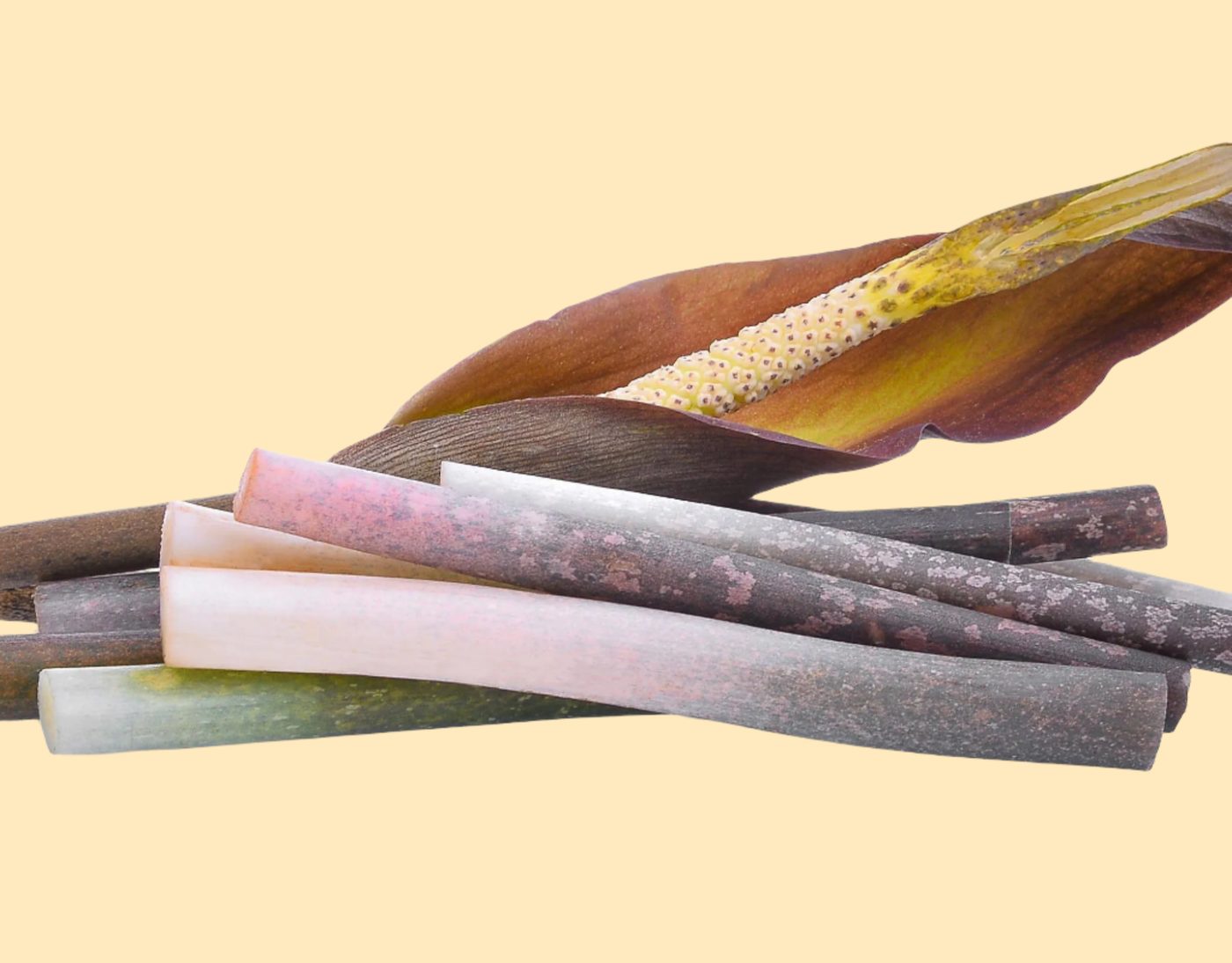 Glucomannan